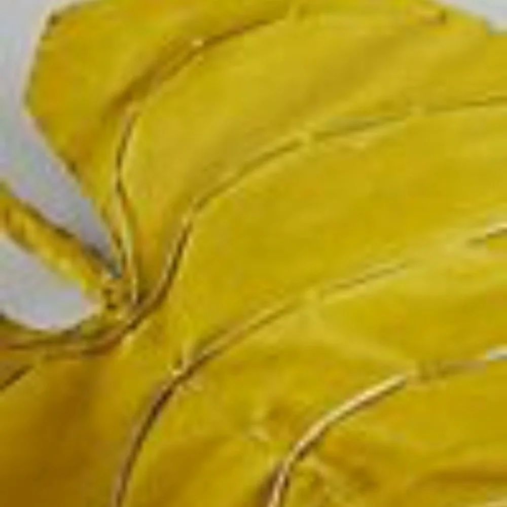 Anthropologie Canvas Yellow  Anthurium Leaf